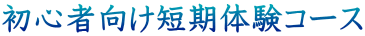 初心者向け短期体験コース